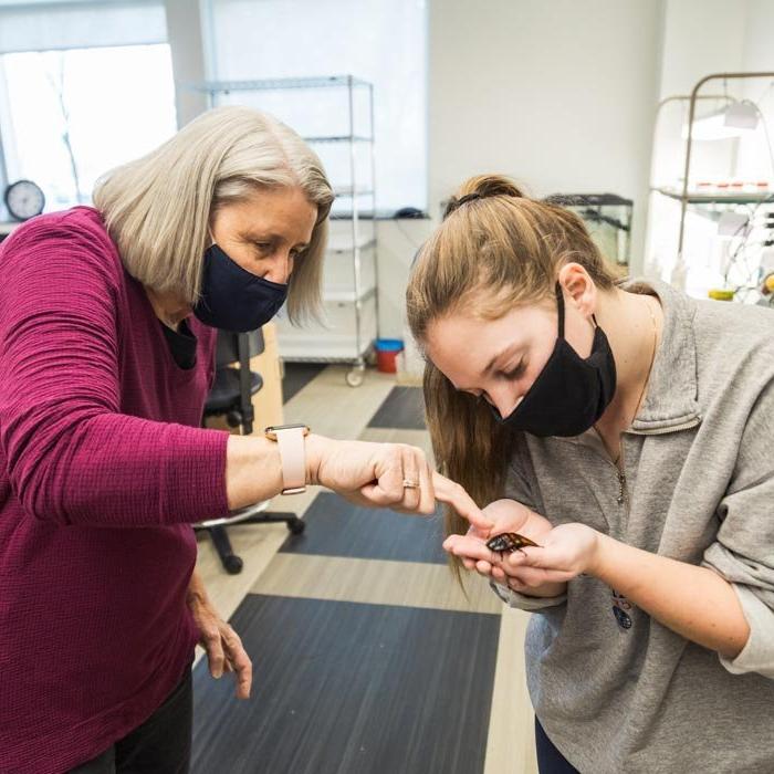 A student examines an insect working with a professor in science lab